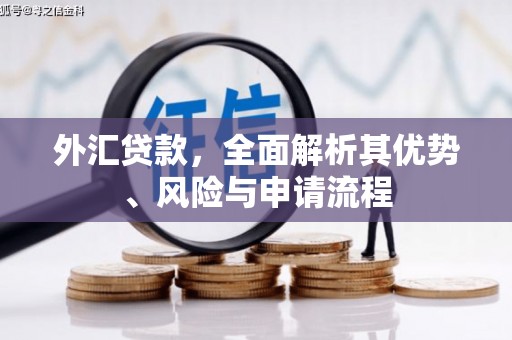 普宁外汇贷款，全面解析其优势、风险与申请流程