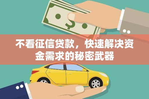 普宁不看征信贷款，快速解决资金需求的秘密武器