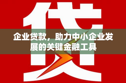 普宁企业贷款，助力中小企业发展的关键金融工具