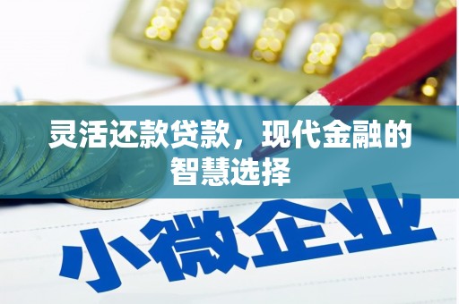 普宁灵活还款贷款，现代金融的智慧选择