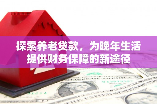 普宁探索养老贷款，为晚年生活提供财务保障的新途径