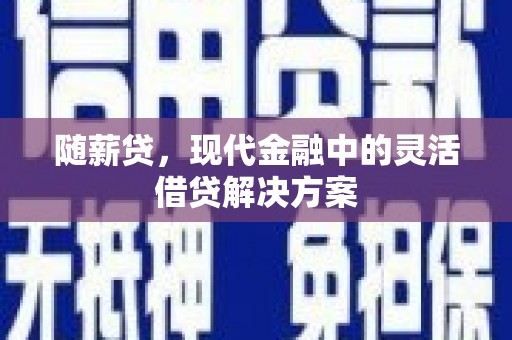 普宁随薪贷，现代金融中的灵活借贷解决方案
