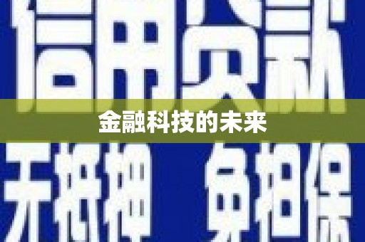 普宁金融科技的未来