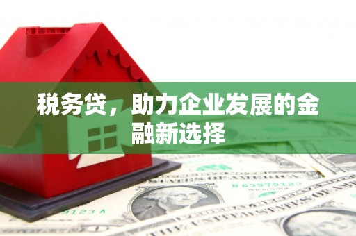普宁税务贷，助力企业发展的金融新选择