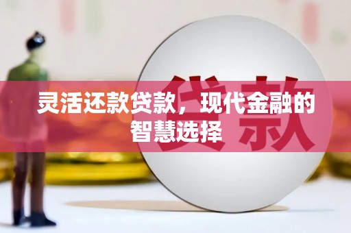 普宁灵活还款贷款，现代金融的智慧选择