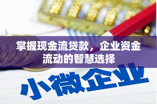 普宁掌握现金流贷款，企业资金流动的智慧选择