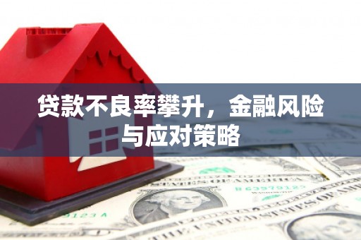 普宁贷款不良率攀升，金融风险与应对策略