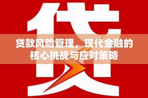 普宁贷款风险管理，现代金融的核心挑战与应对策略