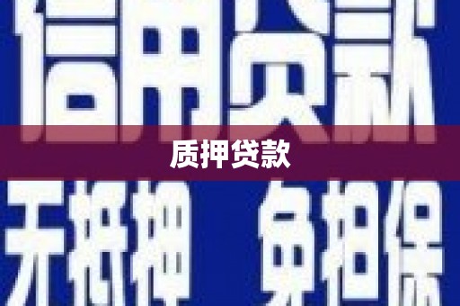 普宁质押贷款