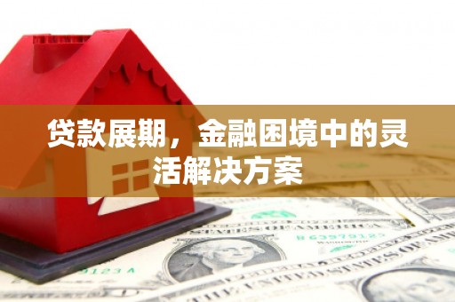 普宁贷款展期，金融困境中的灵活解决方案