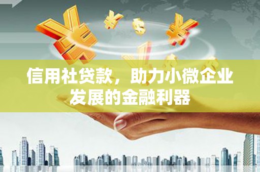 普宁信用社贷款，助力小微企业发展的金融利器