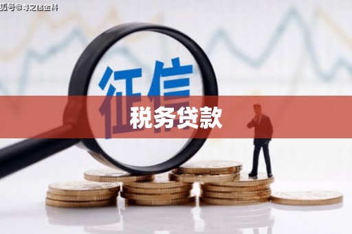 普宁税务贷款
