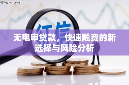 普宁无电审贷款，快速融资的新选择与风险分析