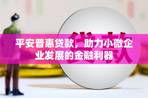 普宁平安普惠贷款，助力小微企业发展的金融利器