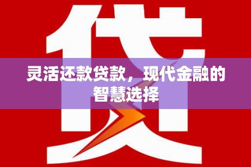 普宁灵活还款贷款，现代金融的智慧选择