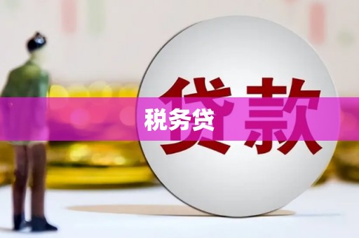 普宁税务贷