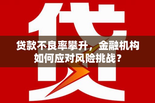 普宁贷款不良率攀升，金融机构如何应对风险挑战？