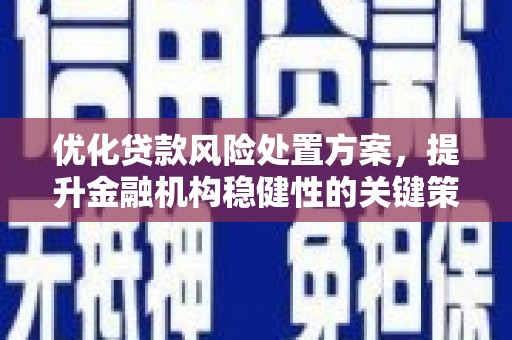 普宁优化贷款风险处置方案，提升金融机构稳健性的关键策略
