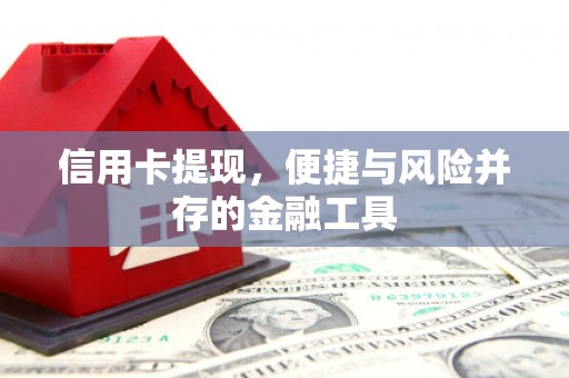 普宁信用卡提现，便捷与风险并存的金融工具