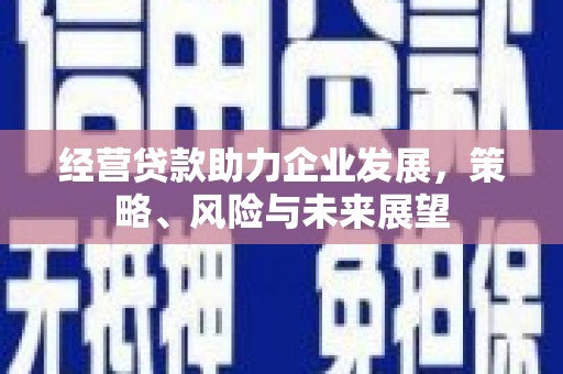 普宁经营贷款助力企业发展，策略、风险与未来展望