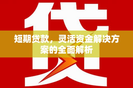 普宁短期贷款，灵活资金解决方案的全面解析