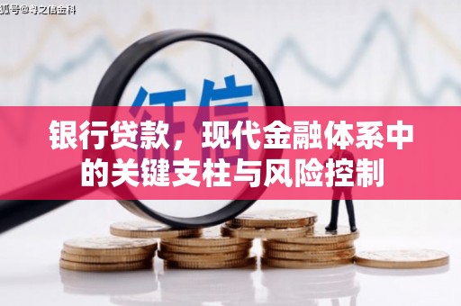 普宁银行贷款，现代金融体系中的关键支柱与风险控制