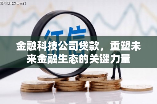 普宁金融科技公司贷款，重塑未来金融生态的关键力量