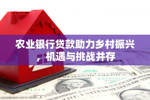 普宁农业银行贷款助力乡村振兴，机遇与挑战并存