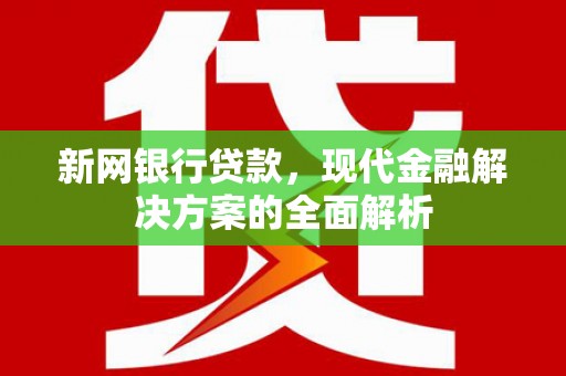 普宁新网银行贷款，现代金融解决方案的全面解析