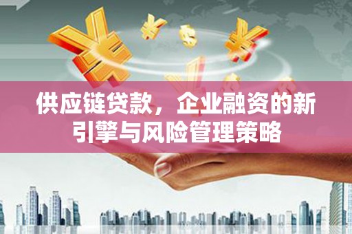 普宁供应链贷款，企业融资的新引擎与风险管理策略