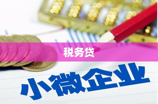 普宁税务贷