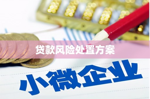 普宁贷款风险处置方案
