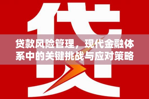 普宁贷款风险管理，现代金融体系中的关键挑战与应对策略