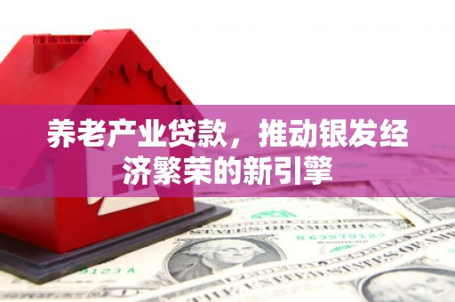 普宁养老产业贷款，推动银发经济繁荣的新引擎