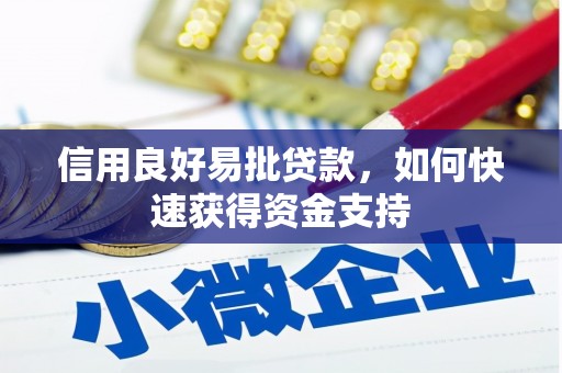 普宁信用良好易批贷款，如何快速获得资金支持