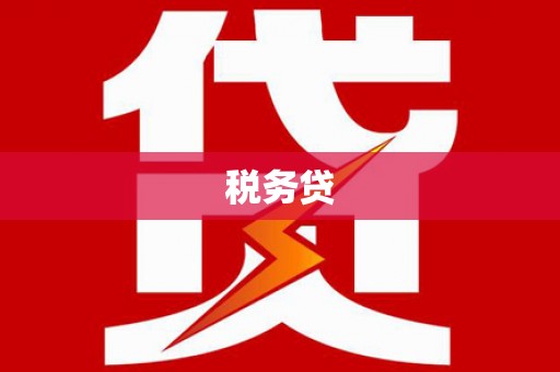 普宁税务贷