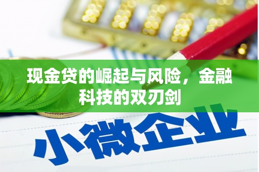 普宁现金贷的崛起与风险，金融科技的双刃剑