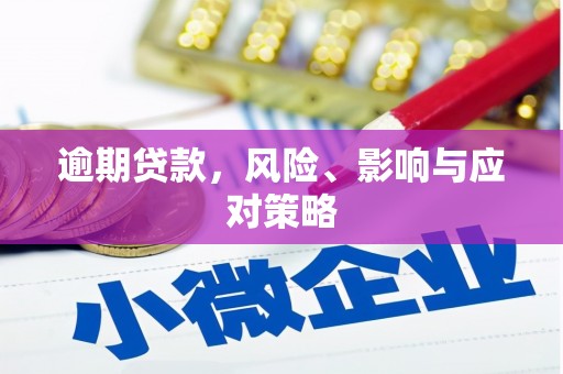 普宁逾期贷款，风险、影响与应对策略