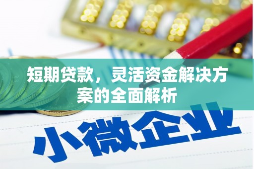普宁短期贷款，灵活资金解决方案的全面解析