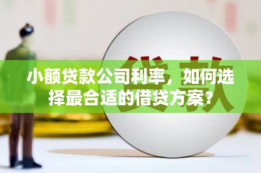 普宁小额贷款公司利率，如何选择最合适的借贷方案？