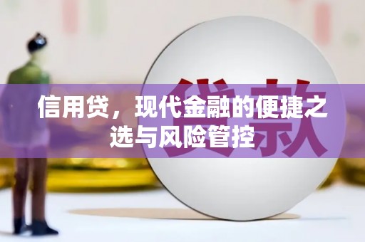 普宁信用贷，现代金融的便捷之选与风险管控