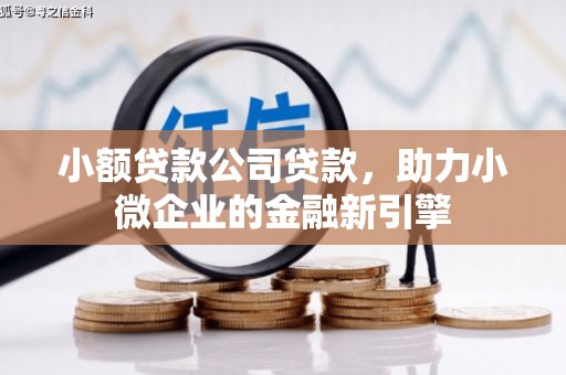 普宁小额贷款公司贷款，助力小微企业的金融新引擎