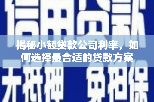 普宁揭秘小额贷款公司利率，如何选择最合适的贷款方案