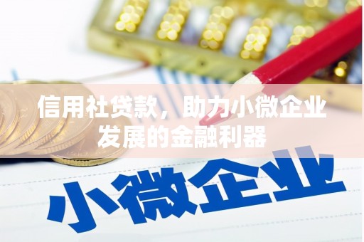 普宁信用社贷款，助力小微企业发展的金融利器