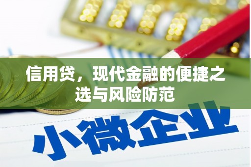 普宁信用贷，现代金融的便捷之选与风险防范