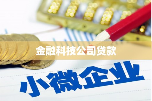 普宁金融科技公司贷款