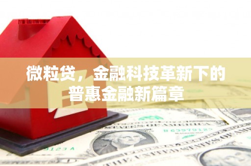 普宁微粒贷，金融科技革新下的普惠金融新篇章