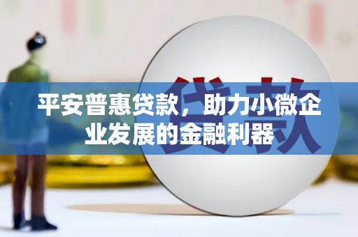 普宁平安普惠贷款，助力小微企业发展的金融利器