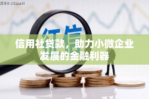 普宁信用社贷款，助力小微企业发展的金融利器