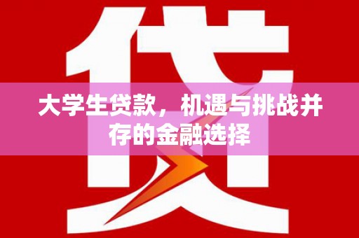 普宁大学生贷款，机遇与挑战并存的金融选择